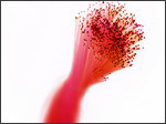 Infineon: Innovationen der Halbleiterherstellung