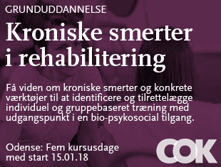 Center for Offentlig Kompetenceudvikling