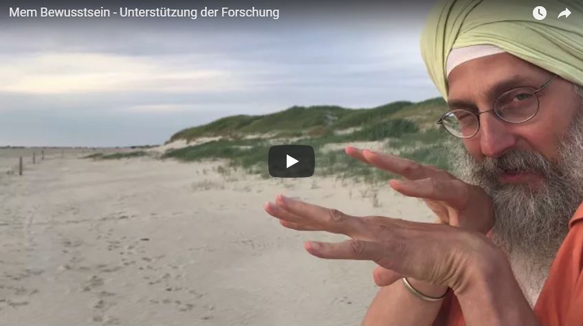mem-forschung