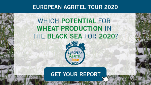 Wheat production in black sea