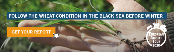 follow the wheat condition in the black sea before winter