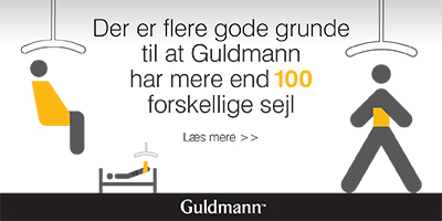 V. Guldmann A/S