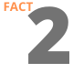 Fact 2 Fact 2