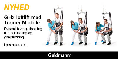 V. Guldmann A/S