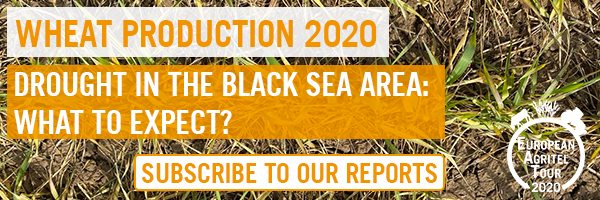 EAT 2020 back to the fields