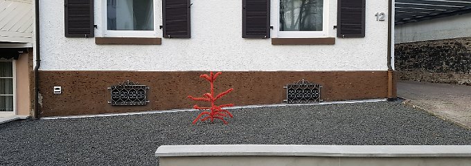 "Kein Grund zur Sorge, wenn Sie das Tannengrün aus der Dose einmal mit dem Jodspray verwechselt haben! Die Farbgestaltung von Gartenpflanzen wird heutzutage deutlich freier interpretiert."