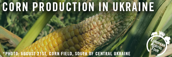 EAT 2020 back to the fields