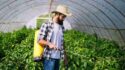 young-farmer-protecting-his-plants-with-chemicals